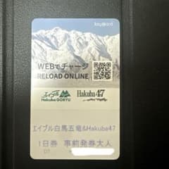 デポジット500円返金有】エイブル白馬五竜 hakuba47 共通リフト券