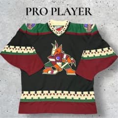 レア90s☆スターター☆NHLアリゾナコヨーテズ刺繍ホッケーシャツXL黒