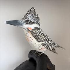 よち様専用品 「ヤマセミ」 リアルバードカービング 木彫りの野鳥 野鳥