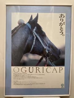 m90714612297_1.jpg?1718815156