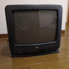 m90901864664_1.jpg?1762953291