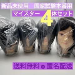 カットウィッグ カットマネキン 国家試験 新品未使用 マイスター