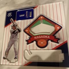 m93115312895_1.jpg?1727625602