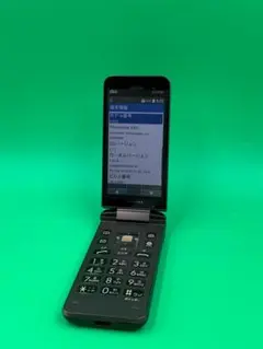 2026年最新】GRATINA KYF39の人気アイテム - メルカリ