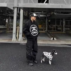 2026年最新】ss-link varsity jacketの人気アイテム - メルカリ