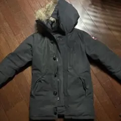 2026年最新】Arctic programの人気アイテム - メルカリ