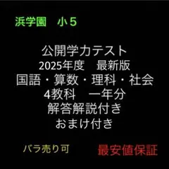 浜学園 小5 公開テスト 国算理社 4教科 解答解説付き 2025年度 最新版