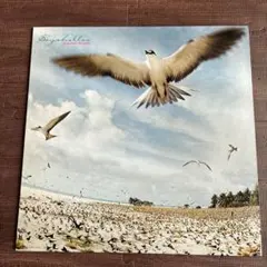 2026年最新】LP 高中正義 SEYCHELLESの人気アイテム - メルカリ