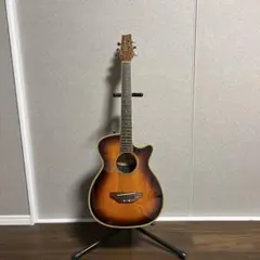 2026年最新】master craft エレアコの人気アイテム - メルカリ