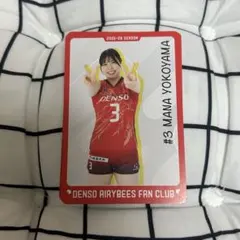 2026年最新】デンソーエアリービーズの人気アイテム - メルカリ