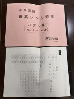 2026年最新】浜学園 小6 最高レベル特訓 テキストの人気アイテム