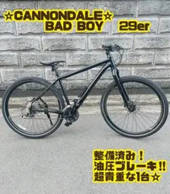 2026年最新】cannondale 29ERの人気アイテム - メルカリ