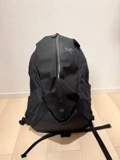 2026年最新】アークテリクス アロー22 ステルスブラックの人気アイテム