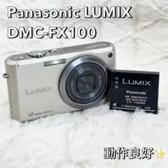 2026年最新】LUMIX DMC-FX100の人気アイテム - メルカリ