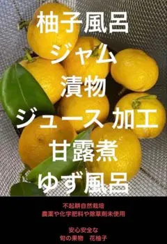 2026年最新】無農薬 ゆずの人気アイテム - メルカリ