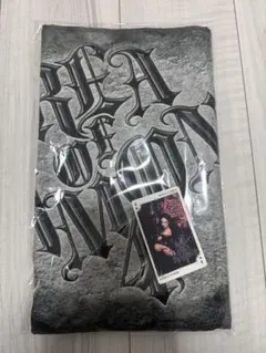 2026年最新】ちゃんみな タオルの人気アイテム - メルカリ