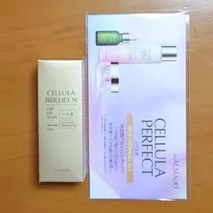 2026年最新】チェルラーブリリオ30mlの人気アイテム - メルカリ