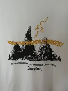 2026年最新】ビッグサンダーマウンテン tシャツの人気アイテム - メルカリ