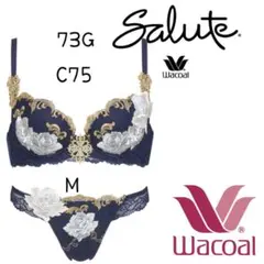 2026年最新】サルート ワコール 73の人気アイテム - メルカリ