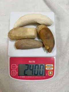 2026年最新】マッコウクジラの歯の人気アイテム - メルカリ