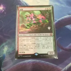 2026年最新】鮮麗の人気アイテム - メルカリ