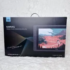 2026年最新】huion kamvas pro20の人気アイテム - メルカリ