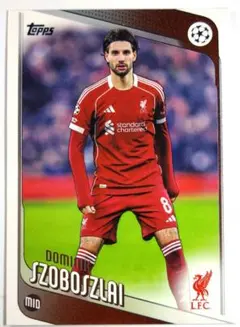 2026年最新】ソボスライの人気アイテム - メルカリ