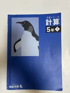 2026年最新】四谷大塚 予習シリーズ 計算 5年上の人気アイテム - メルカリ