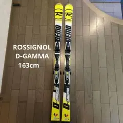 2026年最新】ロシニョール demo ガンマの人気アイテム - メルカリ