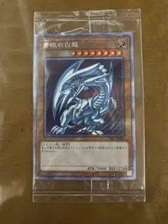 2026年最新】psec-jp001の人気アイテム - メルカリ