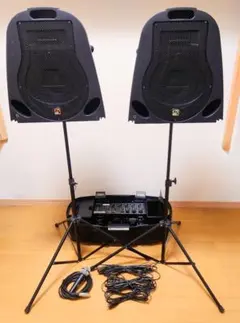 2026年最新】classic pro paezの人気アイテム - メルカリ