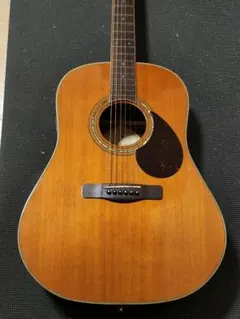 2026年最新】エレアコ greg bennettの人気アイテム - メルカリ