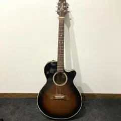 2026年最新】Takamine PT-206の人気アイテム - メルカリ