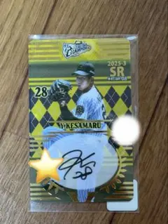 2026年最新】今朝丸裕喜の人気アイテム - メルカリ