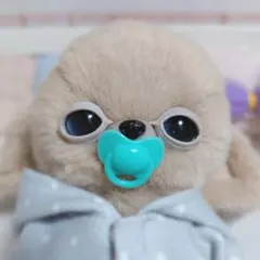 2026年最新】チワボボの人気アイテム - メルカリ