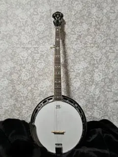 2026年最新】5弦バンジョーの人気アイテム - メルカリ