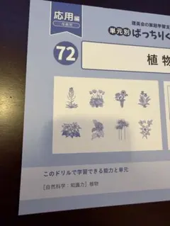 2026年最新】理英会の人気アイテム - メルカリ