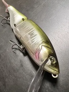 2026年最新】琵琶銀ハスの人気アイテム - メルカリ