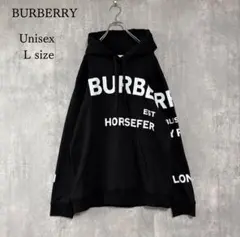 2026年最新】バーバリー ホースフェリー パーカーの人気アイテム