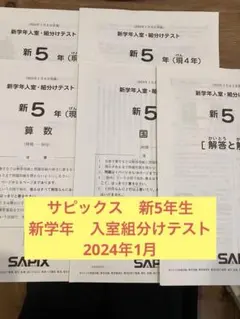 2026年最新】sapix 組分けテスト 新5年の人気アイテム - メルカリ