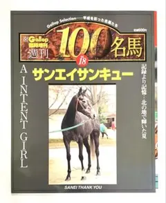 2026年最新】週刊100名馬の人気アイテム - メルカリ