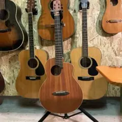 2026年最新】aNueNue ギターの人気アイテム - メルカリ