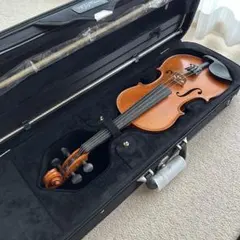 2026年最新】gliga バイオリンの人気アイテム - メルカリ