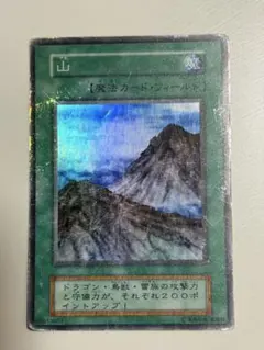 2026年最新】山 スーパー 初期 遊戯王の人気アイテム - メルカリ