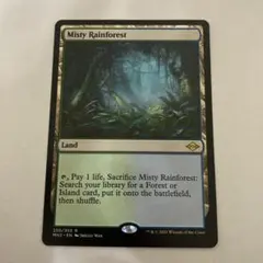 2026年最新】フェッチランドの人気アイテム - メルカリ