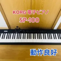 2026年最新】コルグ SP-100の人気アイテム - メルカリ