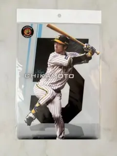 2026年最新】近本の人気アイテム - メルカリ