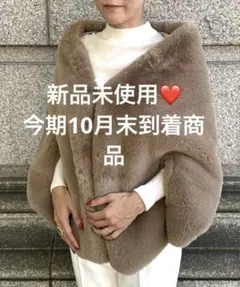 2026年最新】JENNE ポンチョ・ケープコートの人気アイテム - メルカリ