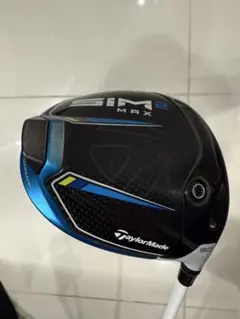 2026年最新】sim ドライバー ヘッドのみの人気アイテム - メルカリ