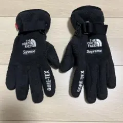 2026年最新】north face supreme 手袋の人気アイテム - メルカリ